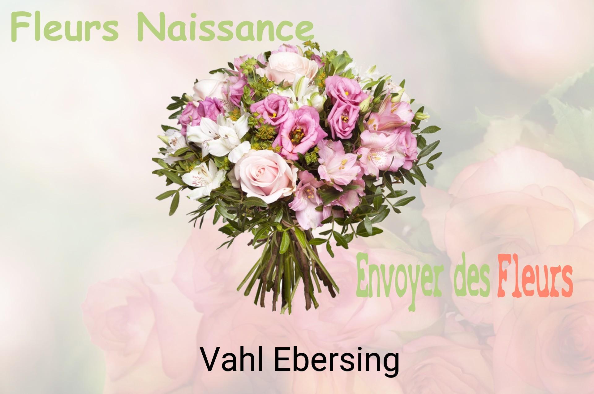 Bouquet de fleurs de naissance livré à Vahl-Ebersing